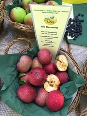 Rote Sternrenette.jpg